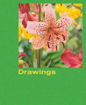 Mathew Cerletty: Kresby - Mathew Cerletty: Drawings