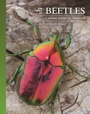 Životy chrobákov: Prírodopis chrobákov (Coleoptera) - The Lives of Beetles: A Natural History of Coleoptera