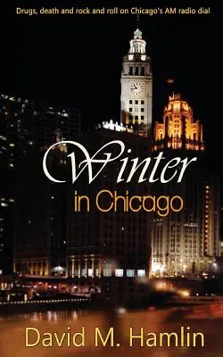 Zima v Chicagu - Winter in Chicago