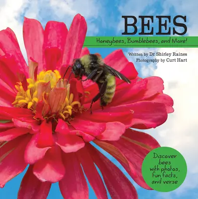 Včely: Medonosné včely, čmeliaci a ďalšie! - Bees: Honeybees, Bumblebees, and More!