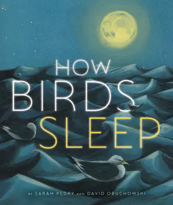 Ako spia vtáky - How Birds Sleep