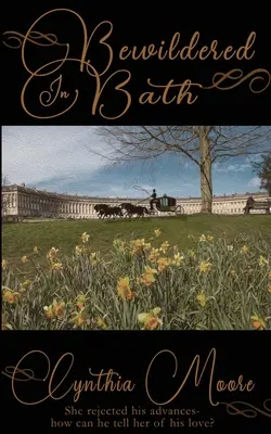 Zmätení v Bathe - Bewildered in Bath