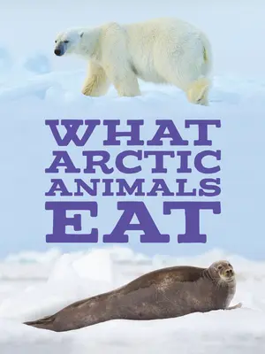 Čo jedia arktické zvieratá: Vydanie v angličtine - What Arctic Animals Eat: English Edition