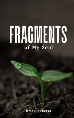 Úlomky mojej duše - Fragments of My Soul