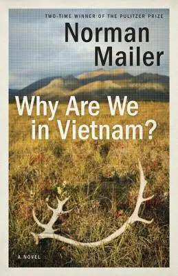 Prečo sme vo Vietname? - Why Are We in Vietnam?