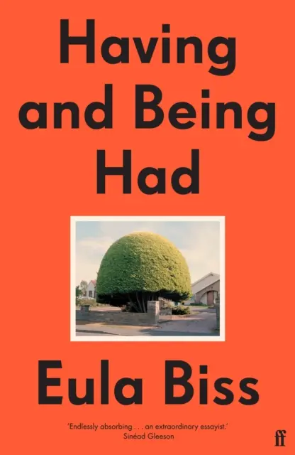 Mať a byť mať - Having and Being Had