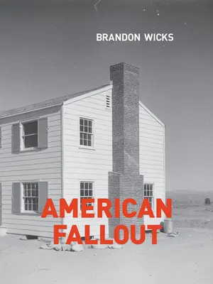 Americký prepad - American Fallout