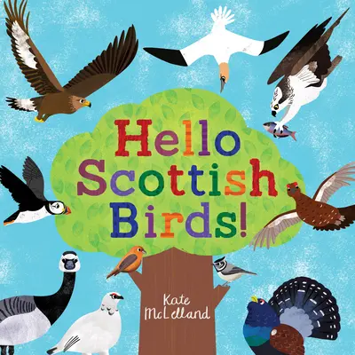 Ahoj škótske vtáky - Hello Scottish Birds