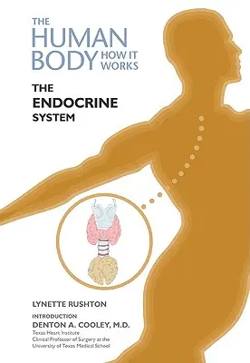 Endokrinný systém - The Endocrine System