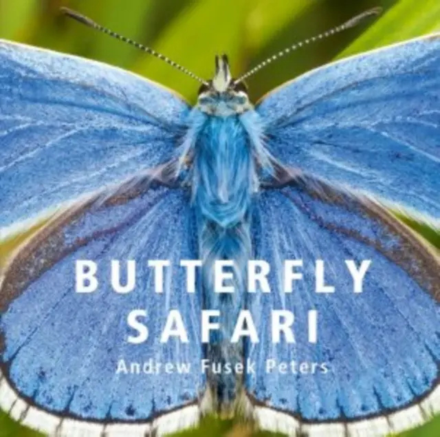 Motýlie safari - Butterfly Safari