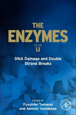 Poškodenie DNA a dvojvláknové zlomy - DNA Damage and Double Strand Breaks