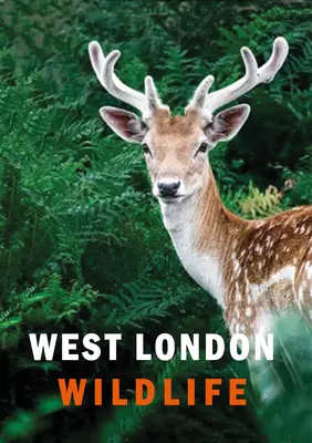 Divoká príroda západného Londýna - West London Wildlife