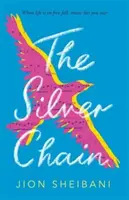 Strieborná reťaz - Silver Chain