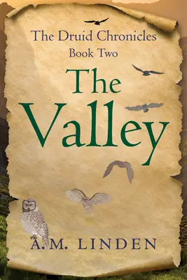 Údolie: Druidské kroniky, kniha druhá - The Valley: The Druid Chronicles, Book Two