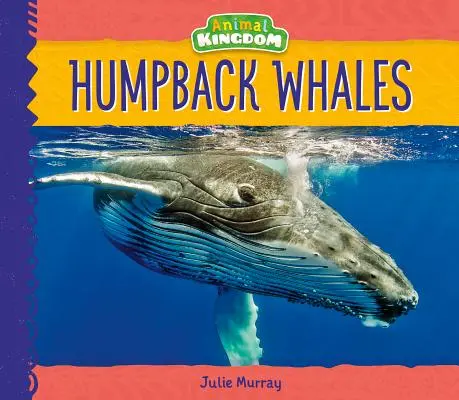 Veľryby hrbaté - Humpback Whales