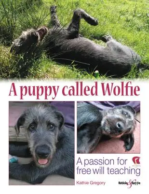 Šteniatko menom Wolfie: Vášeň pre učenie o slobodnej vôli - A Puppy Called Wolfie: A Passion for Free-Will Teaching