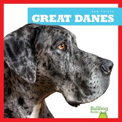Veľké dogy - Great Danes