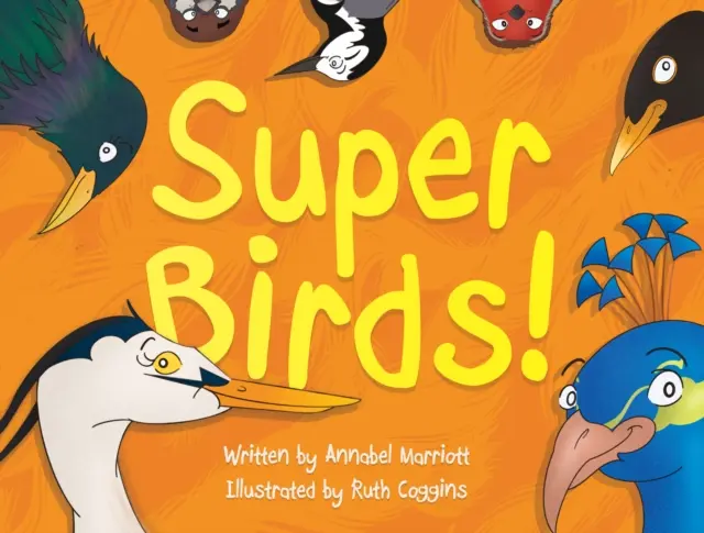 Super vtáci! - Super Birds!