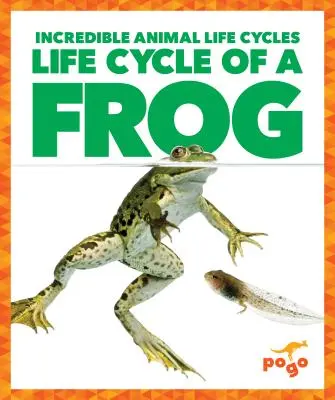 Životný cyklus žaby - Life Cycle of a Frog
