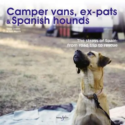 Obytné autá, bývalí turisti a španielske psy: Španielski tuláci: Od výletu po záchranu - Camper Vans, Ex-Pats and Spanish Hounds: The Strays of Spain: From Road Trip to Rescue