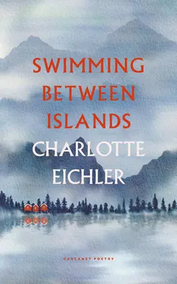 Plávanie medzi ostrovmi - Swimming Between Islands