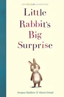 Veľké prekvapenie malého králika - Little Rabbit's Big Surprise