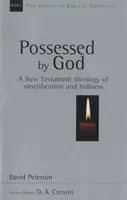 Posadnutí Bohom - novozákonná teológia posvätenia a svätosti (Peterson David (Autor)) - Possessed by God - New Testament Theology Of Sanctification And Holiness (Peterson David (Author))