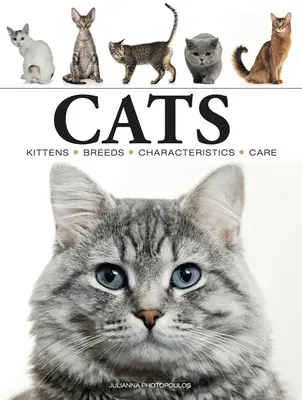 Mačky - Cats