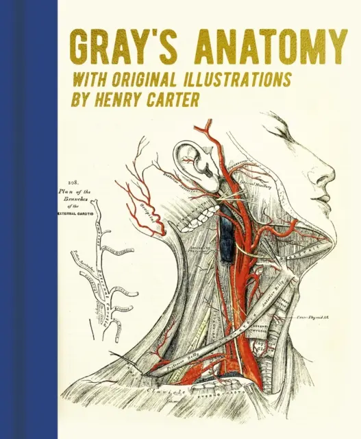 Grayova anatómia - s pôvodnými ilustráciami Henryho Cartera - Gray's Anatomy - With Original Illustrations by Henry Carter