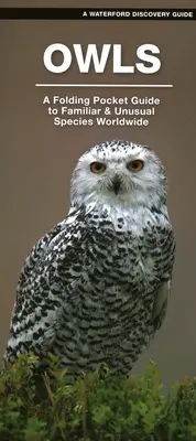 Sovy - Skladací vreckový sprievodca známymi druhmi na celom svete - Owls - A Folding Pocket Guide to Familiar Species Worldwide