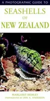 Fotografický sprievodca morskými mušľami Nového Zélandu - Photographic Guide To Seashells Of New Zealand