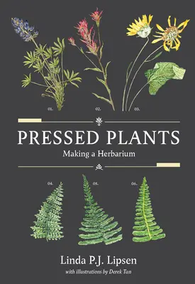 Lisované rastliny: Tvorba herbára - Pressed Plants: Making a Herbarium