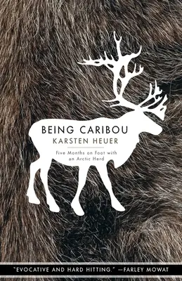 Byť karibu: Päť mesiacov pešo s arktickým stádom - Being Caribou: Five Months on Foot with an Arctic Herd