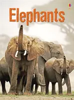 Slony - Elephants
