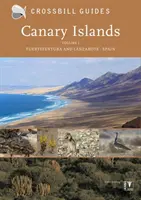 Kanárske ostrovy - Fuerteventura a Lanzarote - Španielsko - Canary Islands - Fuerteventura and Lanzarote - Spain