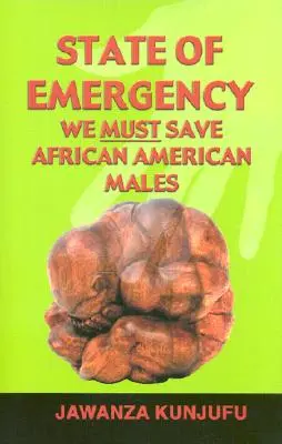 Stav núdze: Musíme zachrániť afroamerických mužov - State of Emergency: We Must Save African American Males