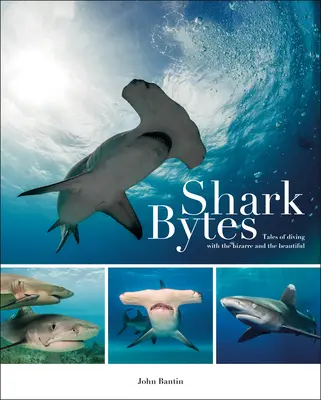 Žraločie bytosti: Príbehy o potápaní s bizarnými a krásnymi - Shark Bytes: Tales of Diving with the Bizarre and the Beautiful