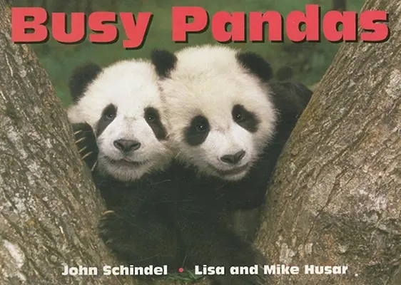 Zaneprázdnené pandy - Busy Pandas