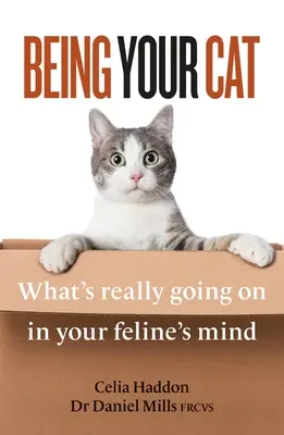 Byť svojou mačkou: Čo sa skutočne deje v mysli vašej mačky - Being Your Cat: What's Really Going on in Your Feline's Mind