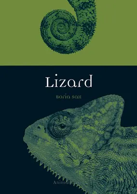 Jašterica - Lizard