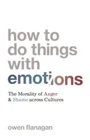 Ako robiť veci s emóciami: Morálka hnevu a hanby v rôznych kultúrach - How to Do Things with Emotions: The Morality of Anger and Shame Across Cultures
