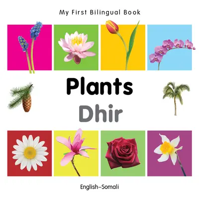 Moja prvá dvojjazyčná kniha-Rastliny (anglicko-somálsky) - My First Bilingual Book-Plants (English-Somali)