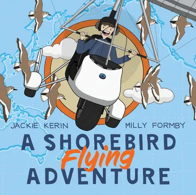 Dobrodružstvo pri lietaní pobrežných vtákov - A Shorebird Flying Adventure