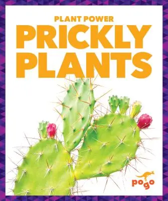 Pichľavé rastliny - Prickly Plants