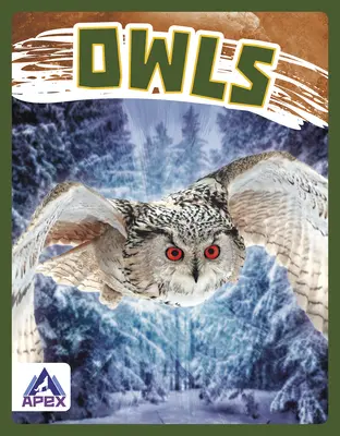 Sovy - Owls