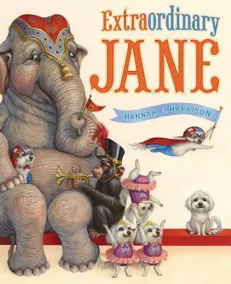 Neobyčajná Jane - Extraordinary Jane