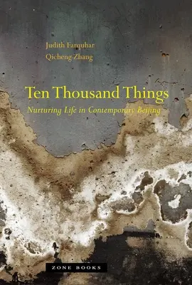 Desaťtisíc vecí: Tisíce vecí: starostlivosť o život v súčasnom Pekingu - Ten Thousand Things: Nurturing Life in Contemporary Beijing