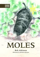 Krtkovia - Moles