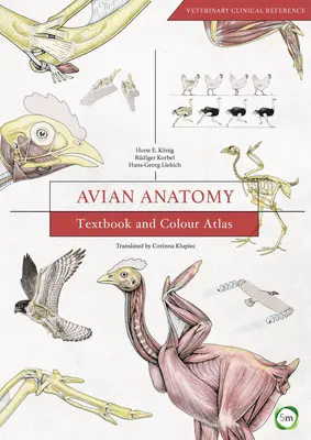 Anatómia vtákov: učebnica a farebný atlas - Avian Anatomy: Textbook and Colour Atlas