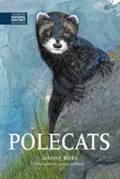 Poliaci - Polecats
